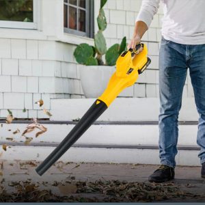 leaf-blower-extender
