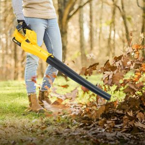 leaf-blower-gutter