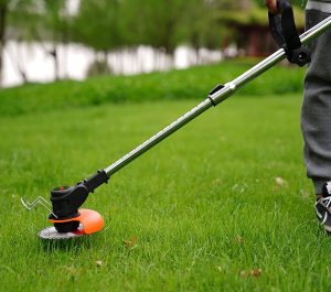 brushed-vs-brushless